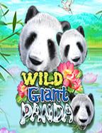 พบกับความสนุกใน cowboy slot ที่ไม่ควรพลาด